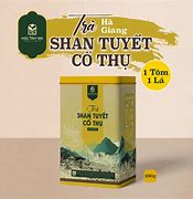 Trà Shan Tuyết Hà Giang Giá